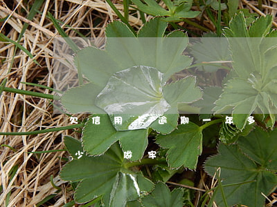 欠信用卡逾期一年多會坐牢嗎（信用卡逾期多少會做牢）