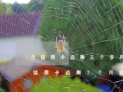 欠信用卡逾期三个多月了还钱会有什么影响（信用卡逾期3个月还款还能用吗）