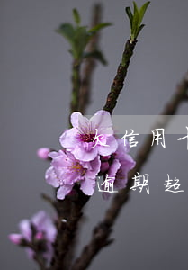 欠信用卡逾期三个月怎么处理(欠信用卡的钱逾期超过三个月)