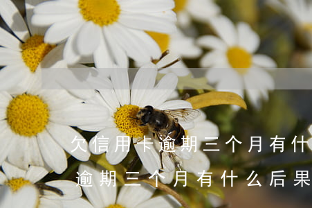 欠信用卡逾期三个月有什么后果-欠信用卡逾期三个月有什么后果吗