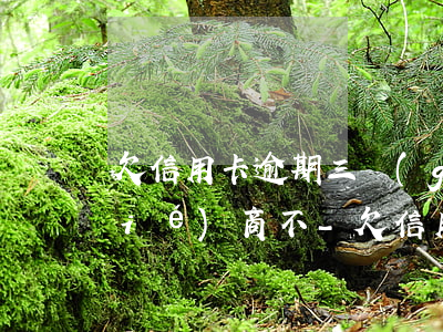 欠信用卡逾期三個(gè)月.可以協(xié)商不-欠信用卡逾期三個(gè)月.可以協(xié)商不還嗎