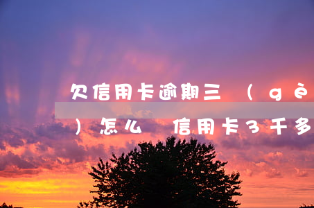 欠信用卡逾期三個(gè)月后會(huì)怎么樣(信用卡3千多逾期一直不還會(huì)怎樣)
