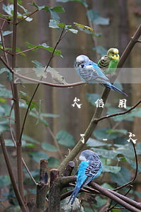 欠信用卡逾期三個月已經(jīng)封卡了-欠信用卡逾期三個月已經(jīng)封卡了怎么辦
