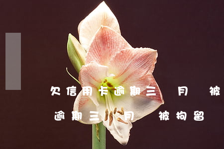欠信用卡逾期三個月會被拘留嗎-欠信用卡逾期三個月會被拘留嗎知乎