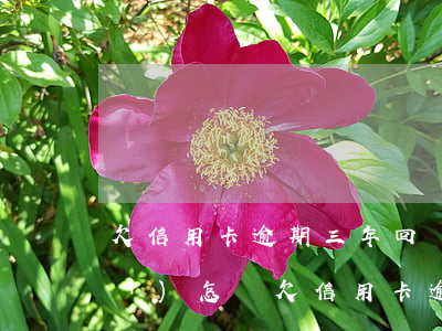 欠信用卡逾期三年回國(guó)會(huì)怎樣 欠信用卡逾期三年回國(guó)會(huì)怎樣樣
