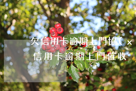欠信用卡逾期上門協(xié)商有用嗎(欠信用卡逾期上門催收)
