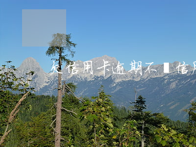 欠信用卡逾期不還（信用卡逾期了又還不上）
