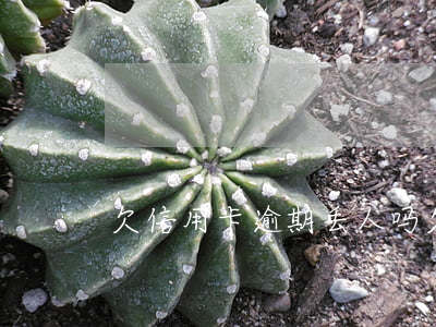 欠信用卡逾期丢人吗(欠信用卡逾期会怎样)
