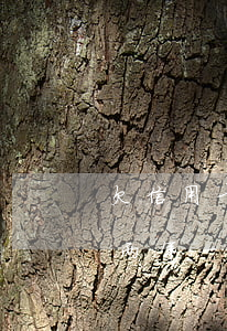 欠信用卡逾期两年一分钱没还(欠信用卡逾期两年一分钱没还怎么办)