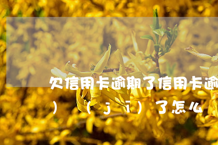欠信用卡逾期了（信用卡逾期后關(guān)機(jī)了怎么辦）