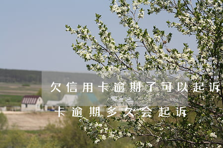 欠信用卡逾期了可以起诉吗(今年新规定信用卡逾期多久会起诉)