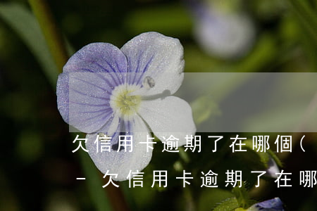 欠信用卡逾期了在哪個(gè)地方起訴我-欠信用卡逾期了在哪個(gè)地方起訴我呢
