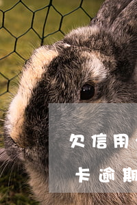 欠信用卡逾期了,怎么才能知道被起訴了（信用卡逾期了會在什么地方起訴）