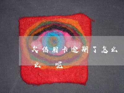欠信用卡逾期了怎么辦呢(欠信用卡逾期了怎么辦呢)