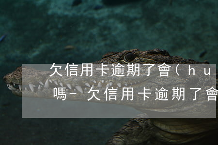 欠信用卡逾期了會(huì)從其它卡扣錢嗎-欠信用卡逾期了會(huì)從其它卡扣錢嗎怎么辦