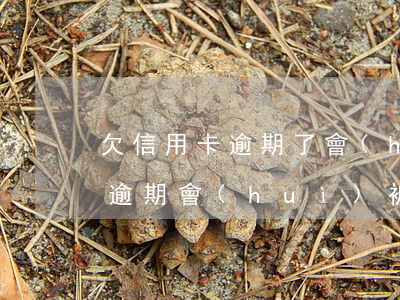欠信用卡逾期了會(huì)怎樣(欠信用卡逾期會(huì)被起訴嗎)