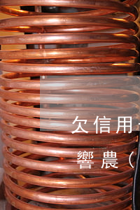 欠信用卡逾期了(欠信用卡逾期了還不上 會影響農(nóng)村自家房子嗎)