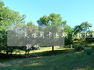 欠信用卡逾期了能提额吗(有逾期信用卡会提额吗)