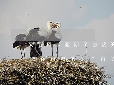欠信用卡逾期了自救的办法，信用卡逾期了？教你自救的3个有效方法！