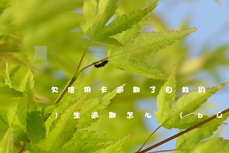 欠信用卡逾期了自救的辦法（信用卡發(fā)生逾期怎么補(bǔ)救）