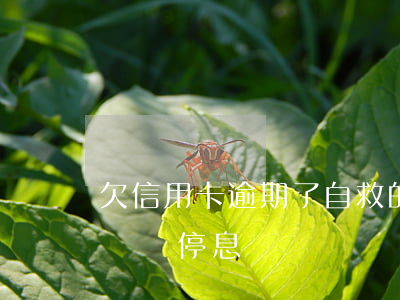 欠信用卡逾期了自救的辦法（信用卡逾期無力償還停息掛賬）