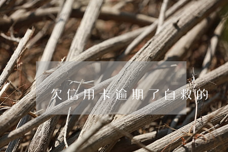 欠信用卡逾期了自救的辦法（欠信用卡快逾期）