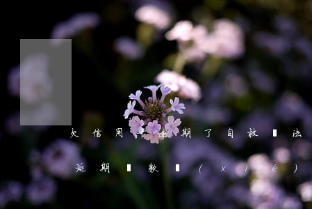 欠信用卡逾期了自救辦法：網(wǎng)貸延期還款協(xié)商及無力償還處理方案
