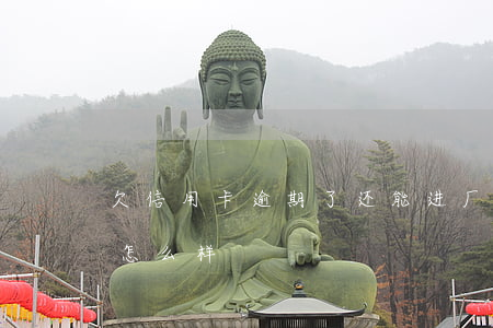 欠信用卡逾期了还能进厂吗(欠信用卡逾期会怎么样)