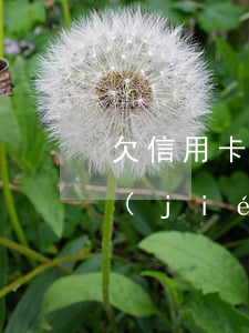 欠信用卡逾期了銀行卡會(huì)被凍結(jié)嗎-欠信用卡逾期了銀行卡會(huì)被凍結(jié)嗎怎么辦