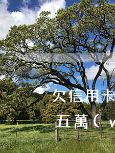 欠信用卡逾期五萬(wàn)自救(欠信用卡五萬(wàn)無(wú)力償還)