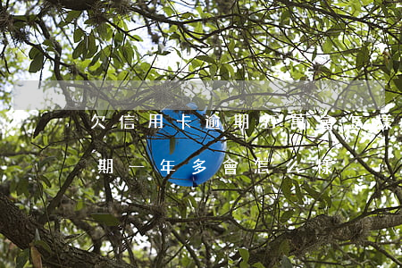欠信用卡逾期五萬會怎樣(信用卡欠款五萬逾期一年多會怎么樣)