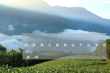 欠信用卡逾期会不会坐牢（信用用卡逾期会停用吗）