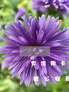 欠信用卡逾期会拘留坐牢吗(欠信用卡逾期会被公安局抓吗)