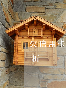 欠信用卡逾期会被公安局抓吗？相关问题解析