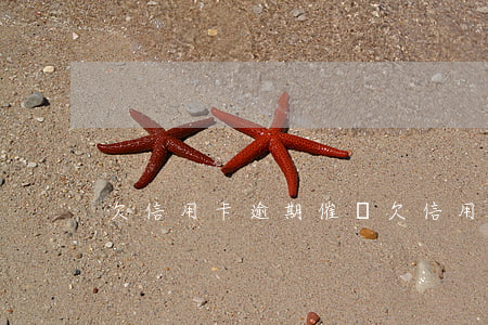 欠信用卡逾期催債(欠信用卡催收)
