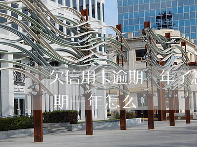 欠信用卡逾期兩年了怎么辦(信用卡欠2萬逾期一年怎么辦)