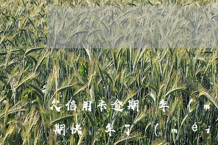 欠信用卡逾期兩年沒(méi)還（信用卡逾期快兩年了沒(méi)有被起訴）