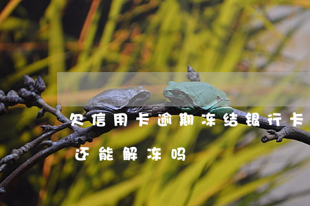 欠信用卡逾期冻结银行卡(逾期冻结的信用卡还能解冻吗)