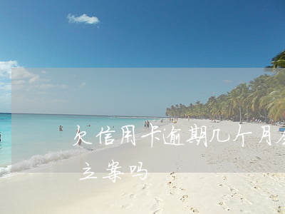 欠信用卡逾期几个月会立案（信用卡逾期直接立案吗）