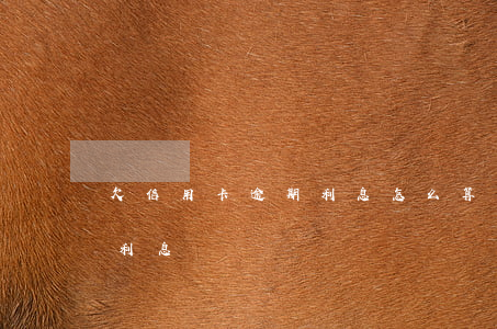 欠信用卡逾期利息怎么算（信用卡逾期收多少利息）