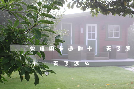 欠信用卡逾期十幾天了怎么辦(欠信用卡逾期十幾天了怎么辦)