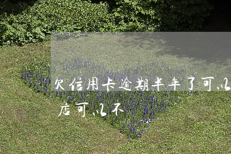 欠信用卡逾期半年了,可以住酒店嗎?（逾期住酒店可以不）