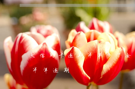 欠信用卡逾期半年多了会坐牢吗?（信用卡超过半年逾期）