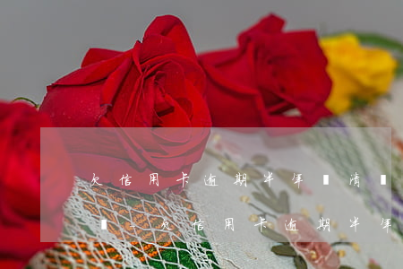 欠信用卡逾期半年還清會(huì)上征信嗎-欠信用卡逾期半年還清會(huì)上征信嗎知乎
