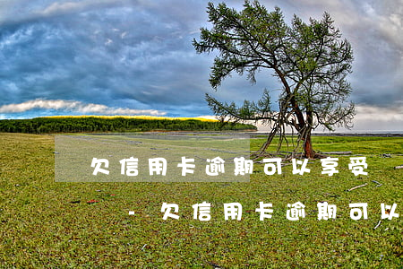 欠信用卡逾期可以享受國(guó)家退稅嗎-欠信用卡逾期可以享受國(guó)家退稅嗎知乎