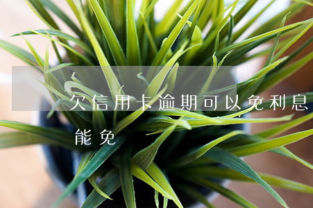 欠信用卡逾期可以免利息嗎(信用卡逾期利息能免嗎)