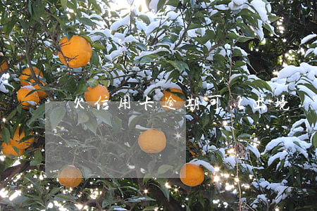 欠信用卡逾期可以出境嗎(逾期的信用卡能代還嗎)