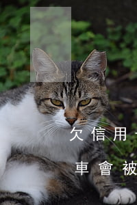 欠信用卡逾期可以坐火車嗎（信用卡逾期做火車會被）