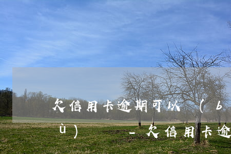 欠信用卡逾期可以報(bào)考公務(wù)員嗎-欠信用卡逾期可以報(bào)考公務(wù)員嗎有影響嗎