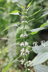 欠信用卡逾期可以賣車嗎